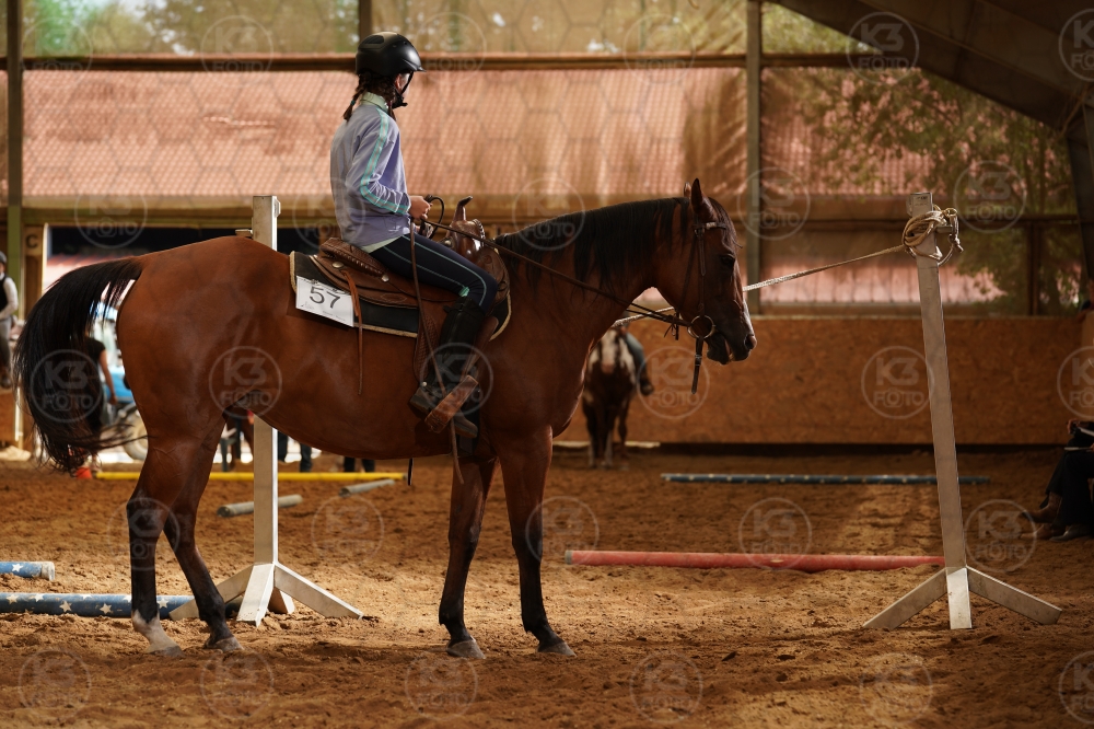 s_A9_08803.jpg